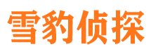 平远找人公司